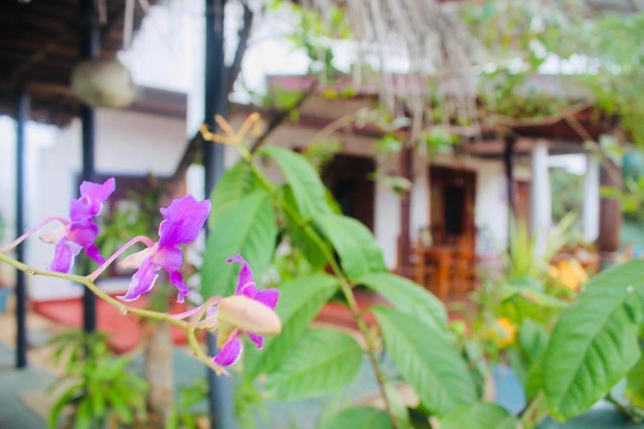 Sunrise Guest House & Restaurant Tangalle Kültér fotó